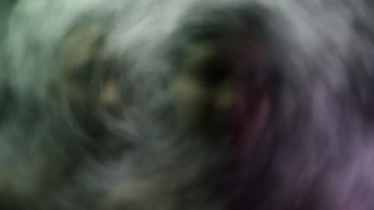 Blurred faces obscured by digital noise and static